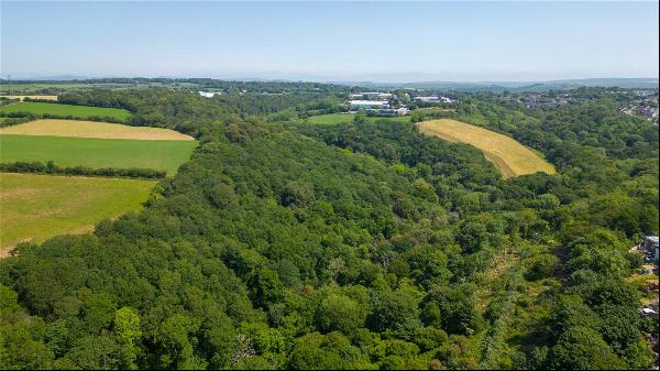 Woodland West Of Roborough, Tamerton Foliot, Plymouth, PL5 4LF