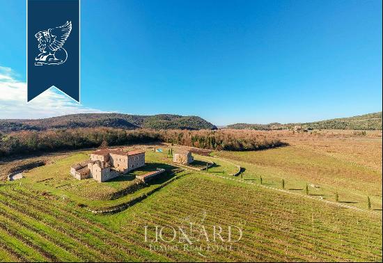 Charming estate in a rustic Tuscan style for sale in Rapolano Terme