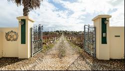 Property with 3 villas surrounded by vineyards, Praia da Luz, Lagos