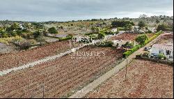 Property with 3 villas surrounded by vineyards, Praia da Luz, Lagos