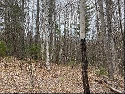 Lot 2 Route 26, Loon Lake NY 12989