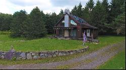 175 Hovick Road, Hartwick NY 13348