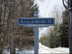 11190 Hassler Woods Trail, Alanson MI 49706