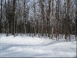 11190 Hassler Woods Trail, Alanson MI 49706