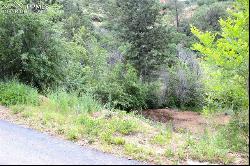 1096 Laguna Point, Manitou Springs CO 80829