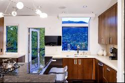 342 Summit Street Unit B, Aspen CO 81611