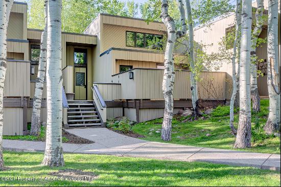 1441 Crystal Lake Road Unit 2, Aspen CO 81611