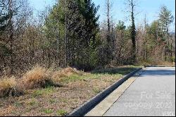 21 lots Chatsworth Circle SE, Lenoir NC 28645