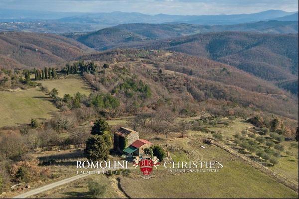 Tuscany - HUNTING RESERVE WITH RENOVATION PROJECT FOR SALE IN ANGHIARI