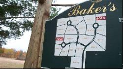 Lot 13 Bakers Acres, Alanson MI 49706