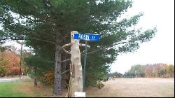 Lot 13 Bakers Acres, Alanson MI 49706