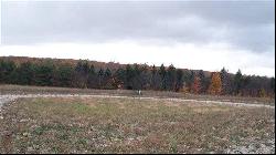 # 7 Bakers Acres Lot 7, Alanson MI 49706