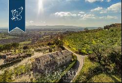 Charming estate with pool and park with olive trees in the province of Assisi