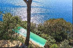 Majestic castle in Portofino