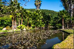 Panquehue Ranch