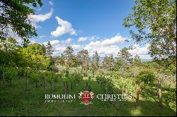 Tuscany - LIBERTY VILLA WITH PANORAMIC VIEW FOR SALE IN ANGHIARI