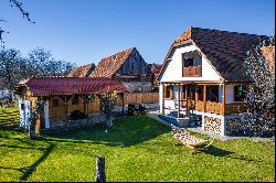 Traditional House in Transylvania