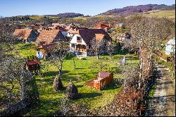 Traditional House in Transylvania