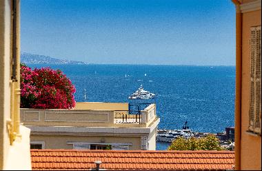 Superb 3-bedroom duplex apartment near to Monaco port