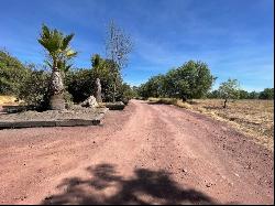 Las Fincas, San Miguel de Allende, Guanajuato, Road to Querétaro, San Miguel de Allende GT