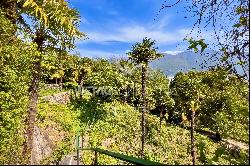 Building land in Ascona for sale at Mount Verità the place of power