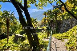 Building land in Ascona for sale at Mount Verità the place of power