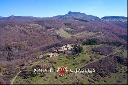 ESTATE WITH HAMLET FOR SALE IN TUSCANY, RENOVATION PROJECT