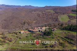 ESTATE WITH HAMLET FOR SALE IN TUSCANY, RENOVATION PROJECT