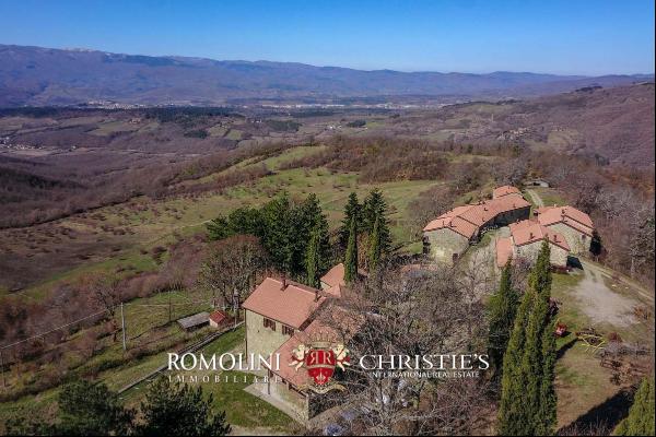 ESTATE WITH HAMLET FOR SALE IN TUSCANY, RENOVATION PROJECT