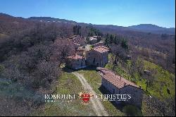 ESTATE WITH HAMLET FOR SALE IN TUSCANY, RENOVATION PROJECT