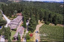 Chianti Classico - ORGANIC VINEYARDS AND WINERY FOR SALE IN GREVE, TUSCANY
