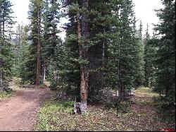 TBD Forest Service Road 766.1J, Pitkin CO 81241