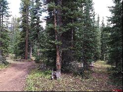 TBD Forest Service Road 766.1j, Pitkin CO 81241