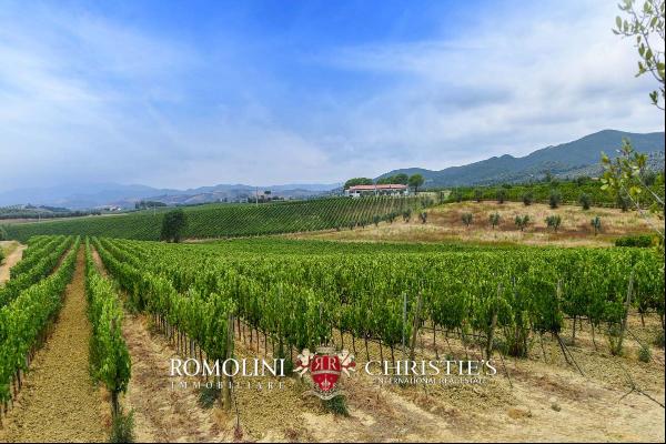 Tuscany - ORGANIC WINE ESTATE WITH 96 HA OF VINEYARDS FOR SALE IN MAREMMA