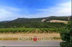 Tuscany - ORGANIC WINE ESTATE WITH 96 HA OF VINEYARDS FOR SALE IN MAREMMA