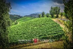 Tuscany - ORGANIC WINE ESTATE WITH 96 HA OF VINEYARDS FOR SALE IN MAREMMA