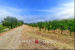 ORGANIC WINE ESTATE WITH 96 HA OF VINEYARDS FOR SALE IN MAREMMA, TUSCANY