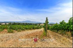 ORGANIC WINE ESTATE WITH 96 HA OF VINEYARDS FOR SALE IN MAREMMA, TUSCANY