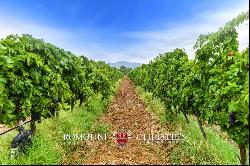 ORGANIC WINE ESTATE WITH 96 HA OF VINEYARDS FOR SALE IN MAREMMA, TUSCANY