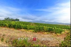 Tuscany - ORGANIC WINE ESTATE WITH 96 HA OF VINEYARDS FOR SALE IN MAREMMA