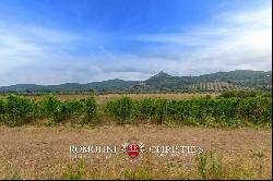 Tuscany - ORGANIC WINE ESTATE WITH 96 HA OF VINEYARDS FOR SALE IN MAREMMA