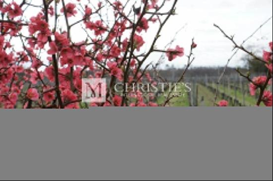 A family estate in AOC Cotes de Bourg