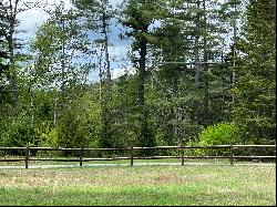 Resort Area Building Lot with Deeded Lake Rights