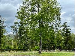 Resort Area Building Lot with Deeded Lake Rights