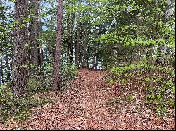 Resort Area Building Lot with Deeded Lake Rights