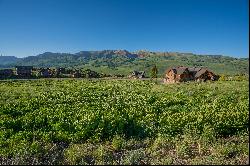 Ski in/ Ski Lot for Sale in Mt. Crested Butte