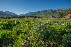 Ski in/ Ski Lot for Sale in Mt. Crested Butte