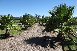 Excellent farm in Pueblo Eden