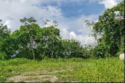 Special Opportunity Lot for Sale in Santa Teresa