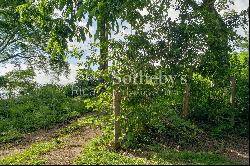 Special Opportunity Lot for Sale in Santa Teresa